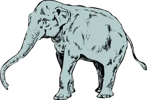 Clipart vectorial de elefante joven azul