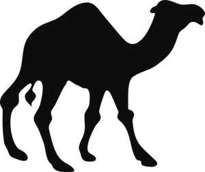 Immagine vettoriale silhouette cammello