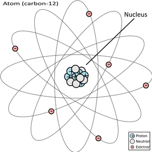 Carbon 12 atom diagram vector image