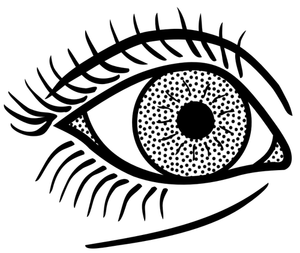 Female eye line art vector graphics