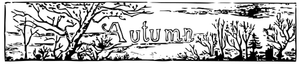 Vector illustration of autumn header