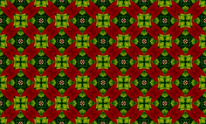 Red and green wallpaper vector image