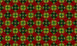 Image vectorielle papier peint rouge et vert