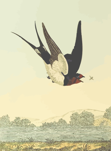 Rauchschwalbe Vogel auf ein Natur-Landschaft-Vektorgrafik