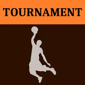 Basket-ball tournoi icône vector image