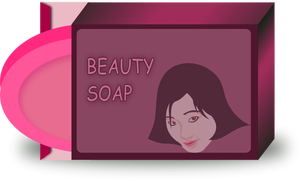 Asiatische schönheit Soap-Vektor-Bild