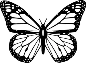 Vector Clipart de borboleta preto e branca, com toda a abrir as asas