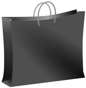 Black bag vector image