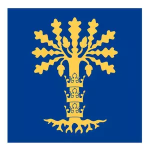 Blekinge Region Flagge