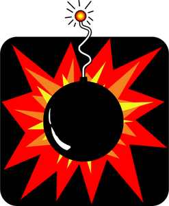 Bomb sign vector image