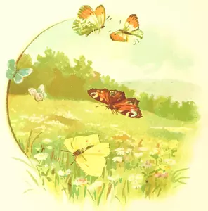 Kupu-kupu dan musim semi
