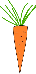 Ikon wortel