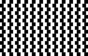 Blanco y negro tablero ilusión vector de la imagen