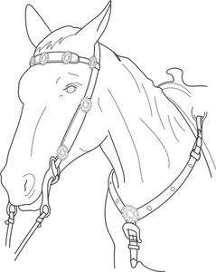 Ilustraţia vectorială de cap de cal cu plumb