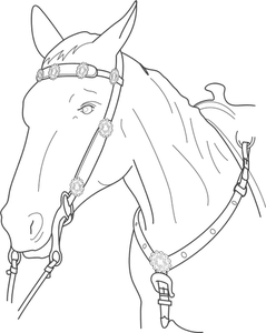 Illustrazione vettoriale della testa di cavallo con piombo
