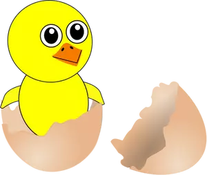 Pollo neonato in immagine vettoriale guscio d'uovo