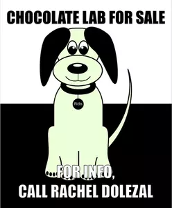 Selling dog