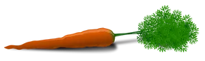 Vector image of a carrot