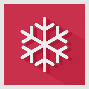 Vektorgrafik med vinter snö crystal sign