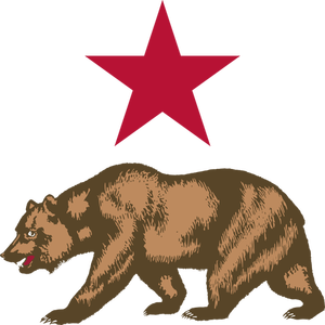 Vector de la imagen del oso y la estrella