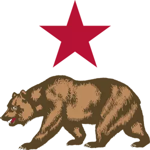 Vector image of bear and star