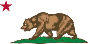 Bear walking under red star vector image