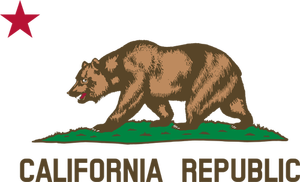 Detal z flaga grafika wektorowa Republika Kalifornii