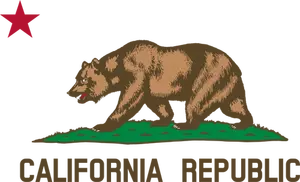 Detal z flaga grafika wektorowa Republika Kalifornii