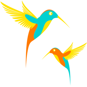 Colibri păsări în zbor ilustraţie