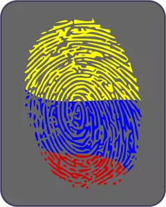 Fingerprint vector image