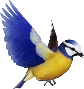 Vector clip art of colorful bird