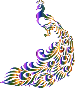 Imagem vetorial de pavão colorido