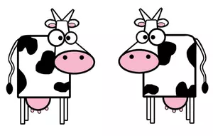 Vector image of two cows