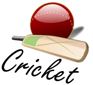 Imagem de vetor de taco e bola de críquete