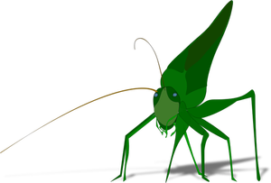 Vector image of green grasshopper