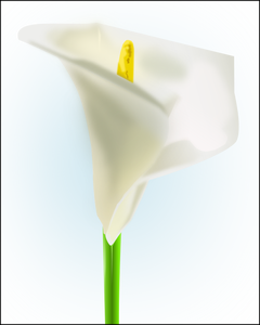 Lilly blomma vektorbild