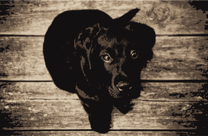 Labrador Retriever vector clip art