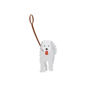 Vector image of a dog on a leash
