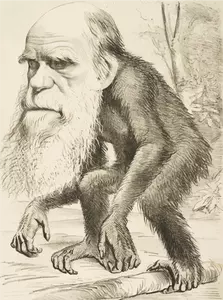Charles Darwin ape