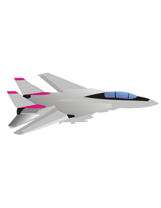 Grumman F-14 Tomcat aircraft vector image
