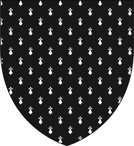 Black shield with pattern