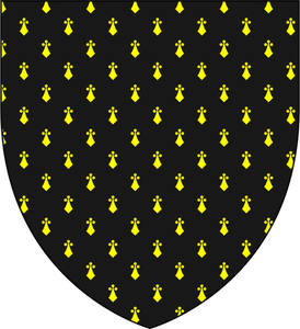 Schild mit gelben Muster schwarz