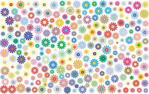 Many colored flowers