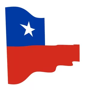 Şili bayrağı sallayarak