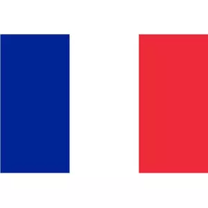 Fransk flagg vektor