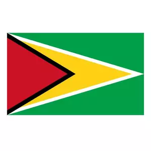 Drapelul Guyana