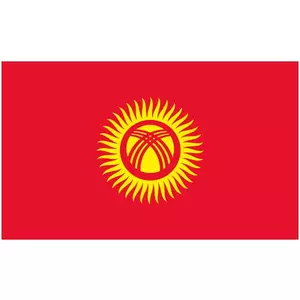 Vector flag of Kyrgyzstan
