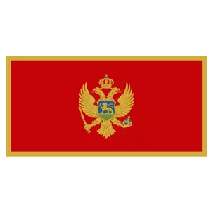 Flaga Czarnogóry wektor