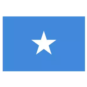 Vector drapeau de la Somalie