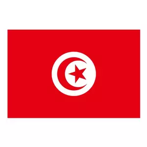 Vektor flagga Tunisien